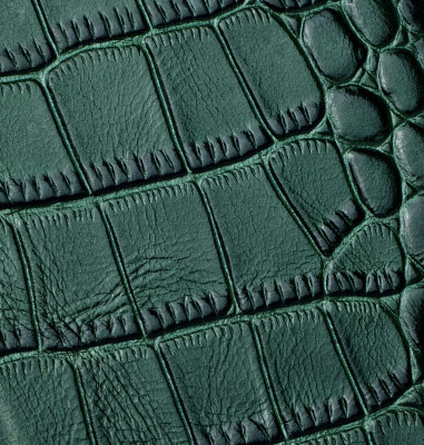 Etui Crocodile iPhone X / XS