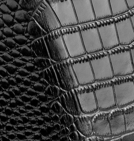 Etui Crocodile iPhone 11 Pro Max