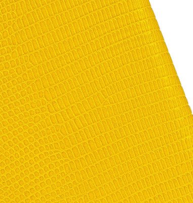 Etui Lézard iPhone 11 Pro Max