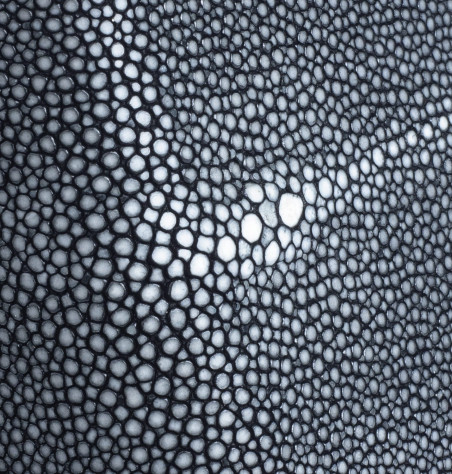 Etui Galuchat iPhone 11