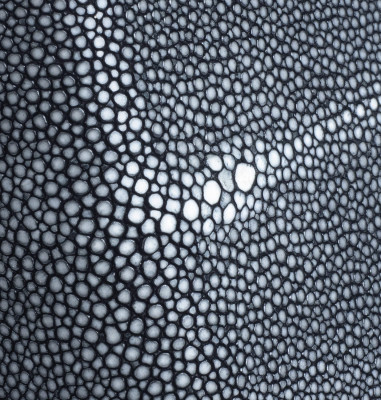 Etui Galuchat iPhone 11 Pro